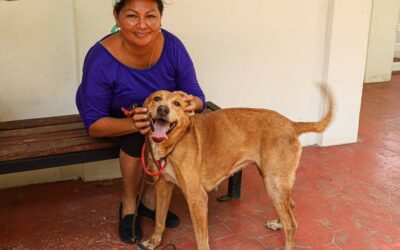 Tapachula impulsa jornadas de esterilización y bienestar animal