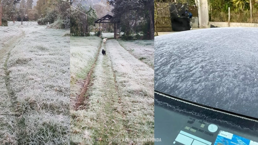 ¡Frío en Chiapas! Estos son los municipios más fríos este 7 de noviembre