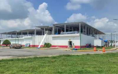 Planta de moscas estériles en Chiapas alcanza 75% y operará en junio
